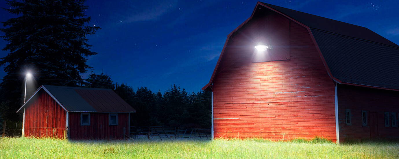 Buy High Quality Outdoor Solar Lights at Onforu